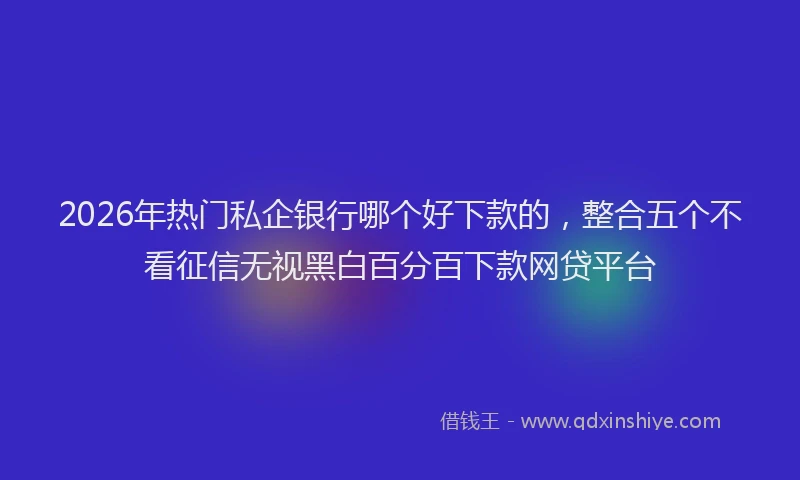 2026年热门私企银行哪个好下款的，整合五个不看征信无视黑白百分百下款网贷平台