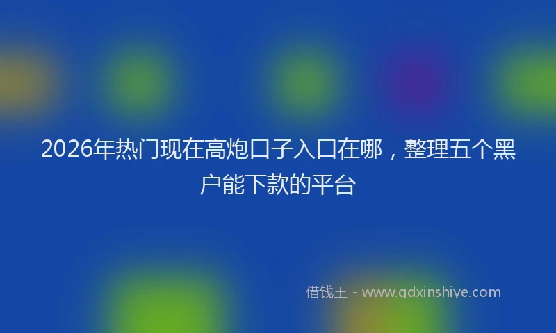 2026年热门现在高炮口子入口在哪，整理五个黑户能下款的平台
