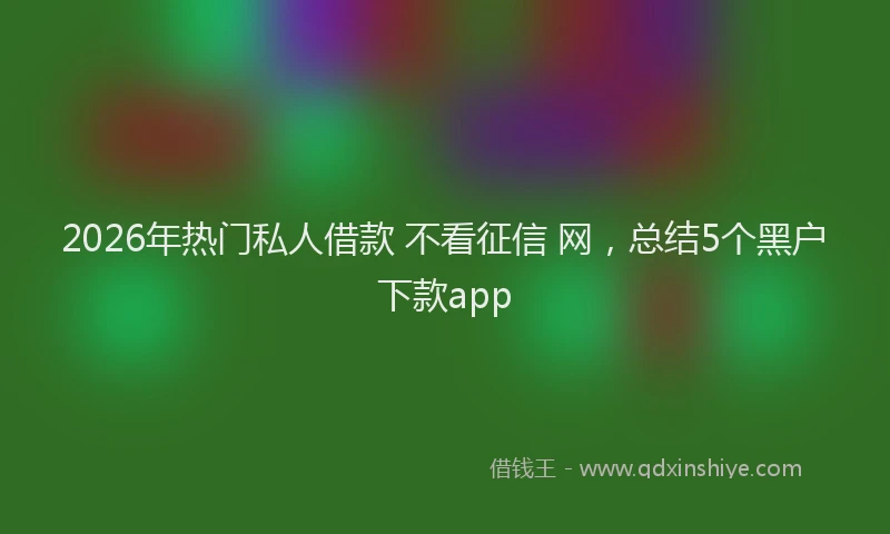 2026年热门私人借款 不看征信 网，总结5个黑户下款app