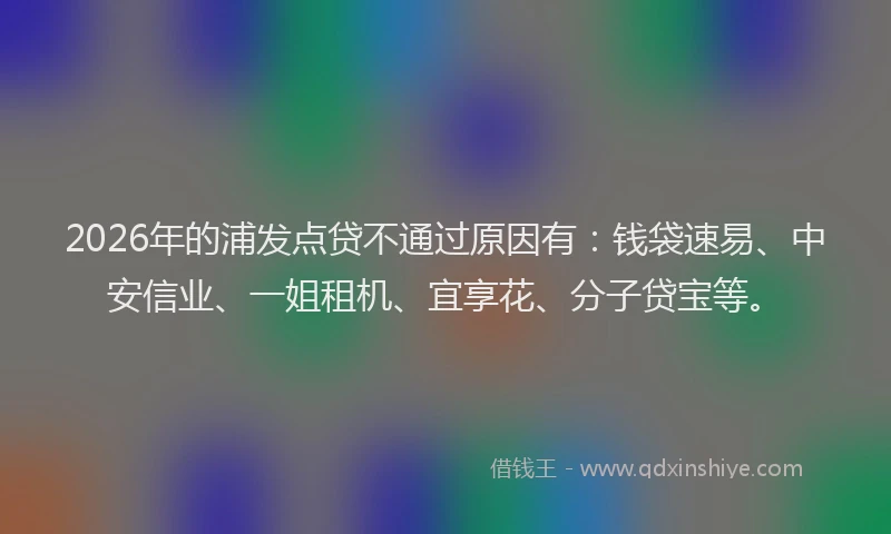 2026年的浦发点贷不通过原因有：钱袋速易、中安信业、一姐租机、宜享花、分子贷宝等。