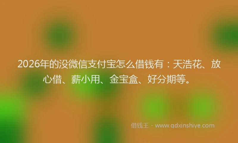 2026年的没微信支付宝怎么借钱有：天浩花、放心借、薪小用、金宝盒、好分期等。