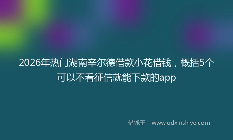 2026年热门湖南辛尔德借款小花借钱，概括5个可以不看征信就能下款的app