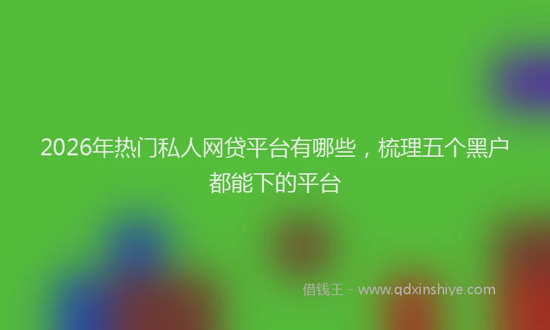 2026年热门私人网贷平台有哪些，梳理五个黑户都能下的平台