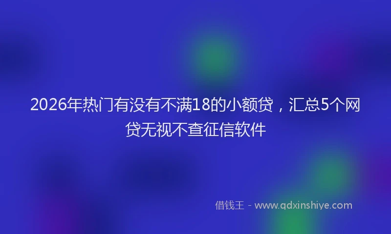 2026年热门有没有不满18的小额贷，汇总5个网贷无视不查征信软件