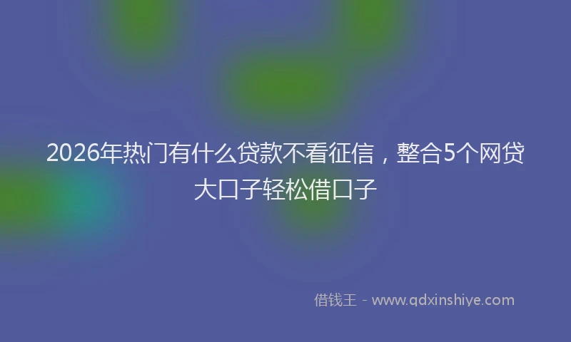 2026年热门有什么贷款不看征信，整合5个网贷大口子轻松借口子