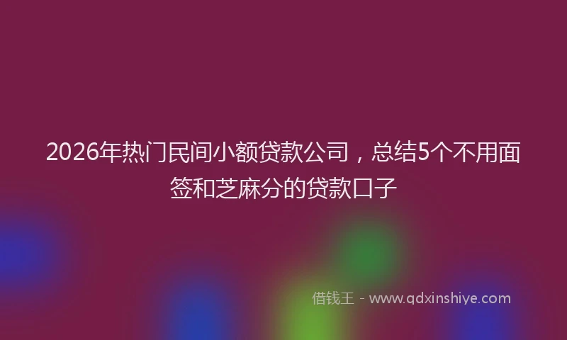 2026年热门民间小额贷款公司，总结5个不用面签和芝麻分的贷款口子