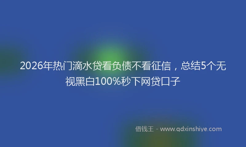 2026年热门滴水贷看负债不看征信，总结5个无视黑白100%秒下网贷口子