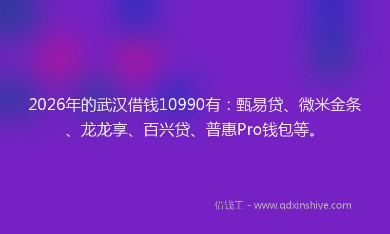 2026年的武汉借钱10990有:甄易贷、微米金条、龙龙享、百兴贷、普惠Pro钱包等。