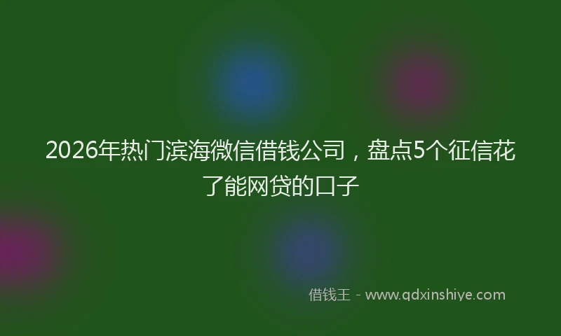 2026年热门滨海微信借钱公司，盘点5个征信花了能网贷的口子