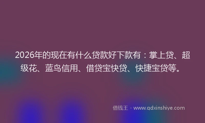 2026年的现在有什么贷款好下款有：掌上贷、超级花、蓝鸟信用、借贷宝快贷、快捷宝贷等。