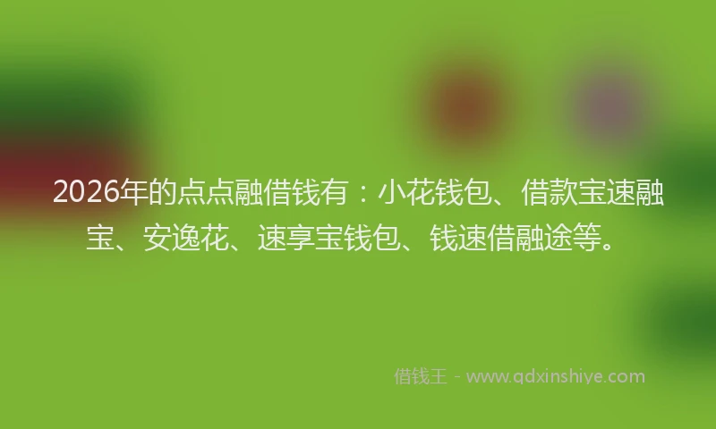 2026年的点点融借钱有：小花钱包、借款宝速融宝、安逸花、速享宝钱包、钱速借融途等。