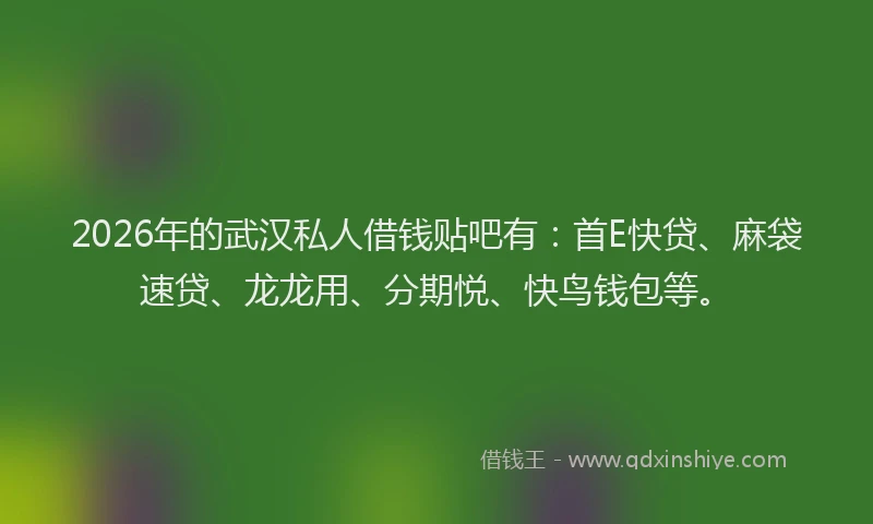 2026年的武汉私人借钱贴吧有：首E快贷、麻袋速贷、龙龙用、分期悦、快鸟钱包等。