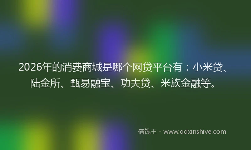 2026年的消费商城是哪个网贷平台有：小米贷、陆金所、甄易融宝、功夫贷、米族金融等。