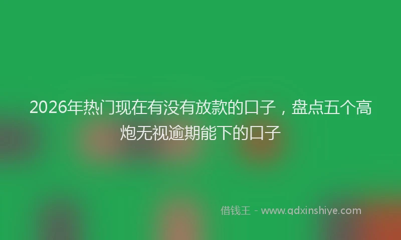 2026年热门现在有没有放款的口子,盘点五个高炮无视逾期能下的口子