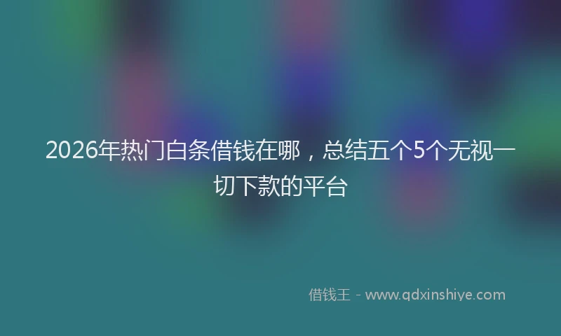 2026年热门白条借钱在哪，总结五个5个无视一切下款的平台