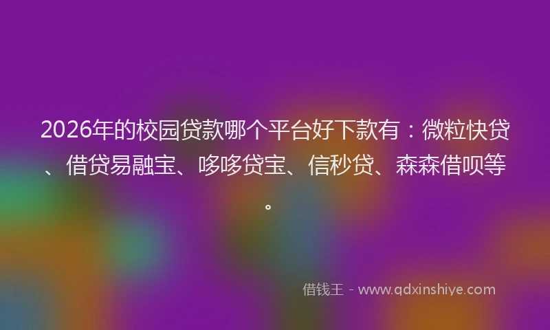 2026年的校园贷款哪个平台好下款有：微粒快贷、借贷易融宝、哆哆贷宝、信秒贷、森森借呗等。