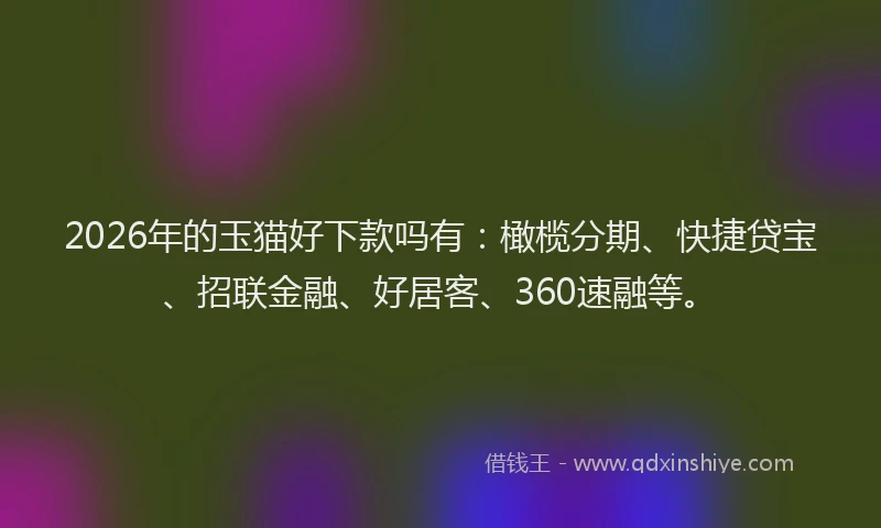 2026年的玉猫好下款吗有：橄榄分期、快捷贷宝、招联金融、好居客、360速融等。