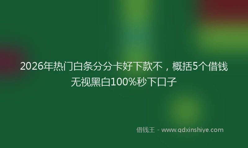 2026年热门白条分分卡好下款不，概括5个借钱无视黑白100%秒下口子