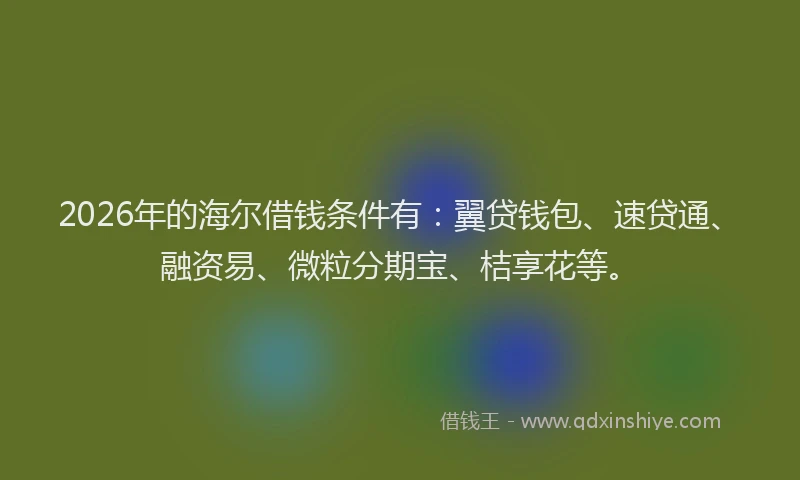 2026年的海尔借钱条件有：翼贷钱包、速贷通、融资易、微粒分期宝、桔享花等。