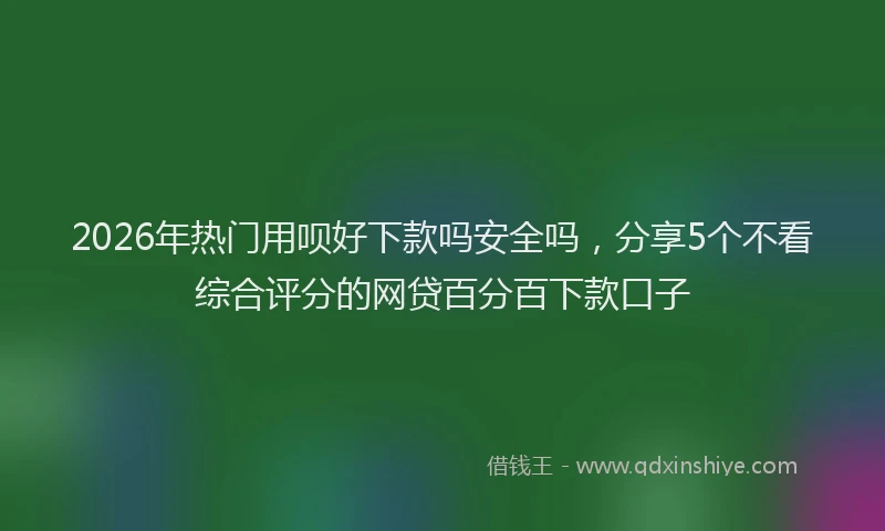 2026年热门用呗好下款吗安全吗，分享5个不看综合评分的网贷百分百下款口子