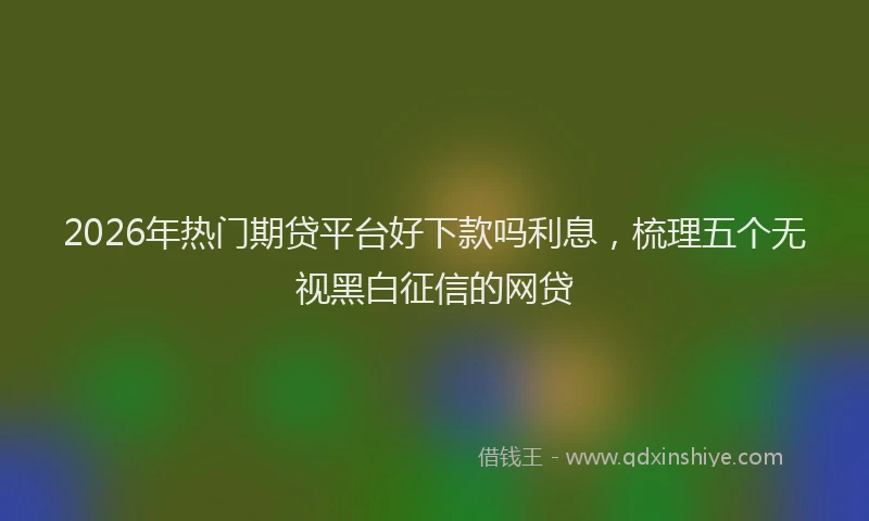 2026年热门期贷平台好下款吗利息，梳理五个无视黑白征信的网贷