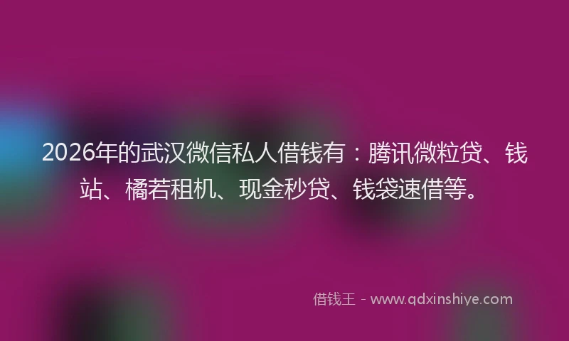2026年的武汉微信私人借钱有：腾讯微粒贷、钱站、橘若租机、现金秒贷、钱袋速借等。