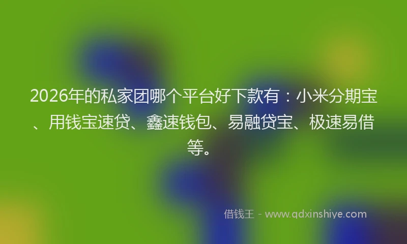 2026年的私家团哪个平台好下款有：小米分期宝、用钱宝速贷、鑫速钱包、易融贷宝、极速易借等。