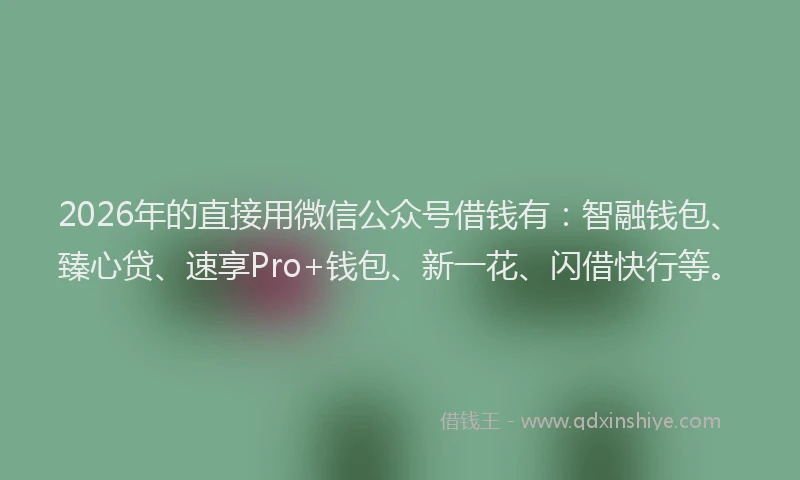 2026年的直接用微信公众号借钱有：智融钱包、臻心贷、速享Pro+钱包、新一花、闪借快行等。