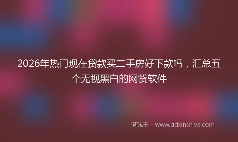 2026年热门现在贷款买二手房好下款吗，汇总五个无视黑白的网贷软件