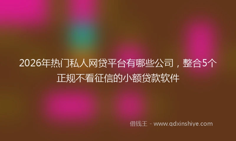 2026年热门私人网贷平台有哪些公司，整合5个正规不看征信的小额贷款软件