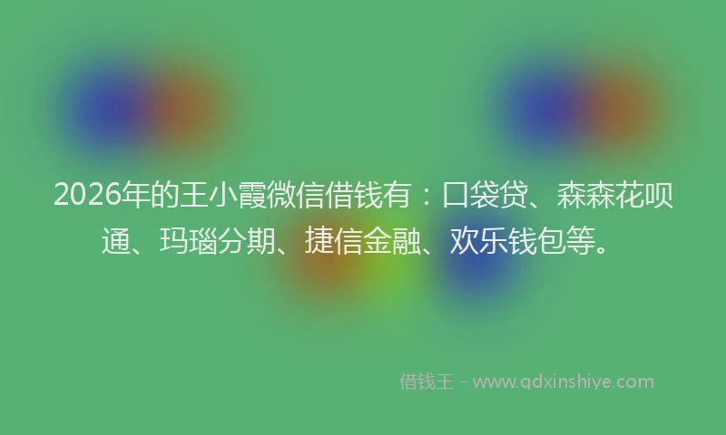 2026年的王小霞微信借钱有：口袋贷、森森花呗通、玛瑙分期、捷信金融、欢乐钱包等。
