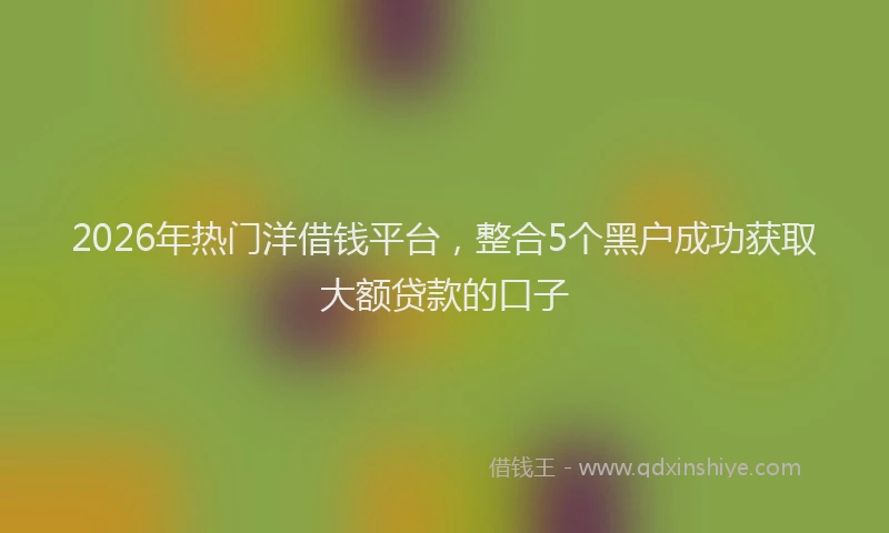2026年热门洋借钱平台，整合5个黑户成功获取大额贷款的口子
