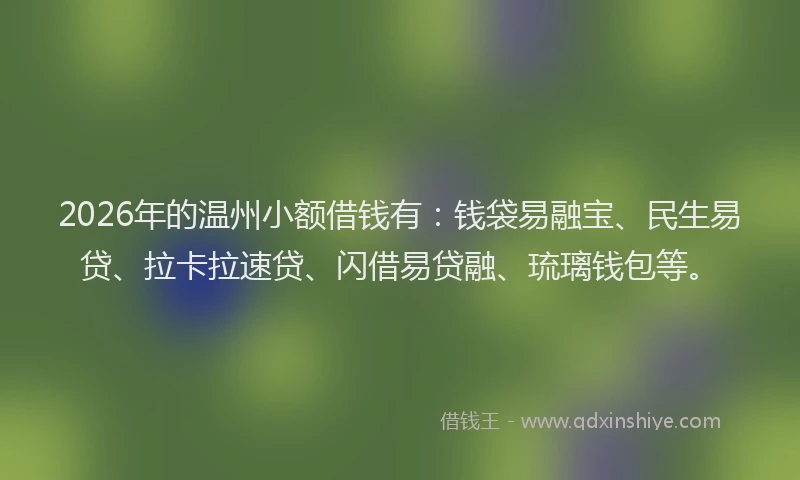 2026年的温州小额借钱有：钱袋易融宝、民生易贷、拉卡拉速贷、闪借易贷融、琉璃钱包等。