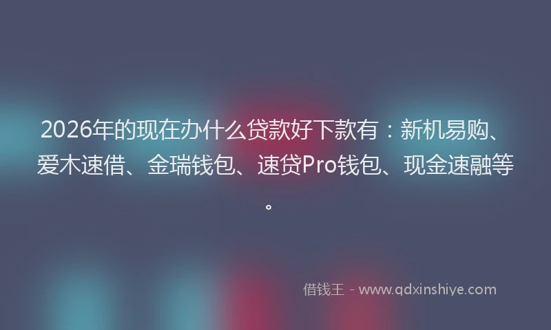 2026年的现在办什么贷款好下款有：新机易购、爱木速借、金瑞钱包、速贷Pro钱包、现金速融等。
