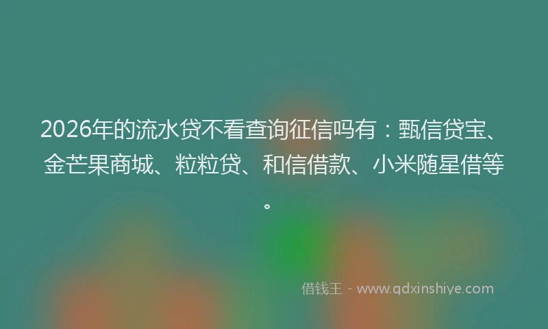 2026年的流水贷不看查询征信吗有：甄信贷宝、金芒果商城、粒粒贷、和信借款、小米随星借等。