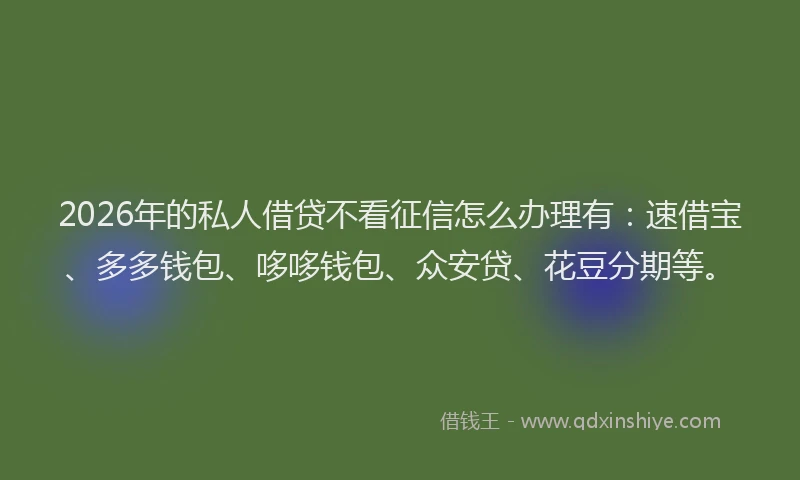 2026年的私人借贷不看征信怎么办理有：速借宝、多多钱包、哆哆钱包、众安贷、花豆分期等。