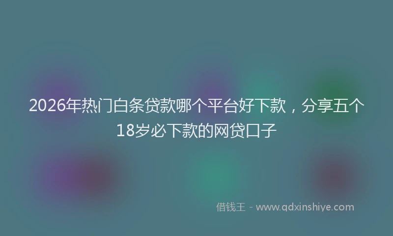 2026年热门白条贷款哪个平台好下款，分享五个18岁必下款的网贷口子