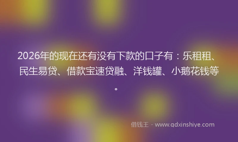 2026年的现在还有没有下款的口子有：乐租租、民生易贷、借款宝速贷融、洋钱罐、小鹅花钱等。