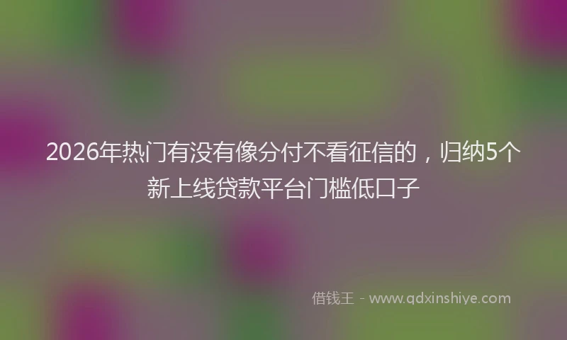 2026年热门有没有像分付不看征信的，归纳5个新上线贷款平台门槛低口子
