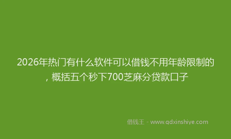 2026年热门有什么软件可以借钱不用年龄限制的，概括五个秒下700芝麻分贷款口子