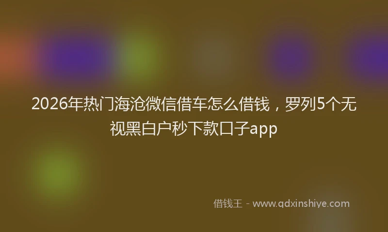 2026年热门海沧微信借车怎么借钱，罗列5个无视黑白户秒下款口子app
