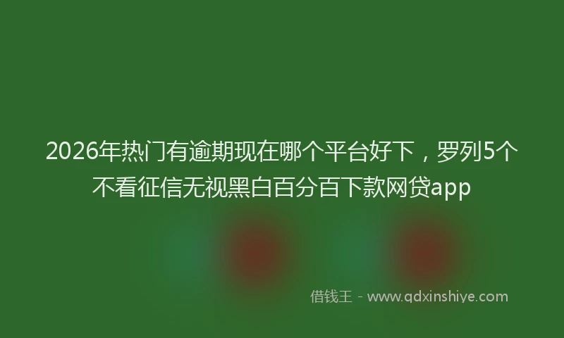 2026年热门有逾期现在哪个平台好下，罗列5个不看征信无视黑白百分百下款网贷app