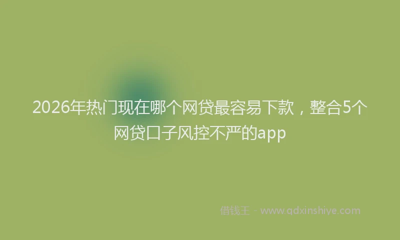 2026年热门现在哪个网贷最容易下款,整合5个网贷口子风控不严的app