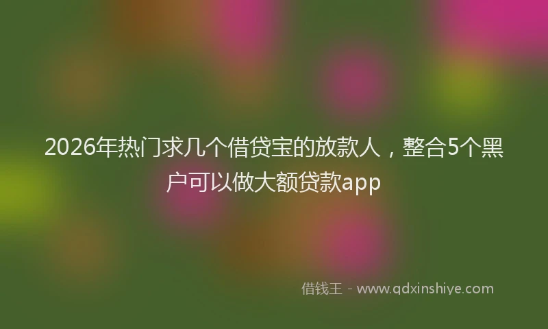 2026年热门求几个借贷宝的放款人，整合5个黑户可以做大额贷款app