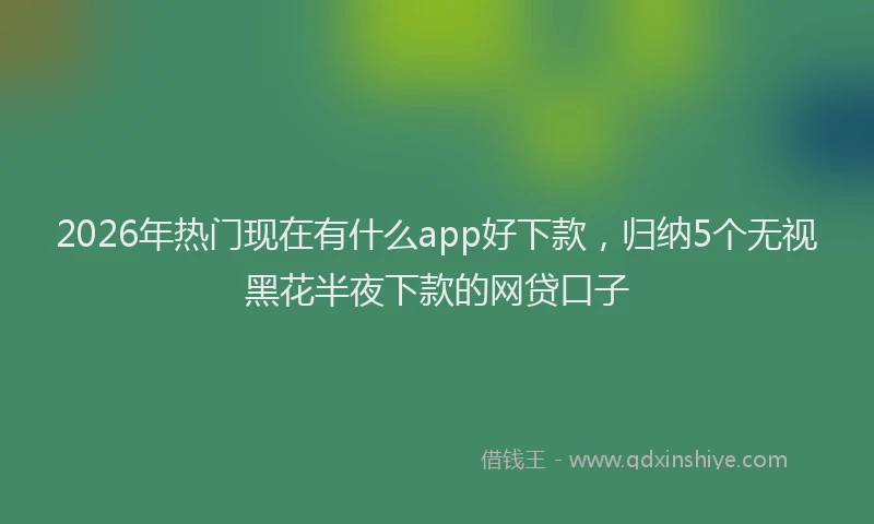 2026年热门现在有什么app好下款，归纳5个无视黑花半夜下款的网贷口子