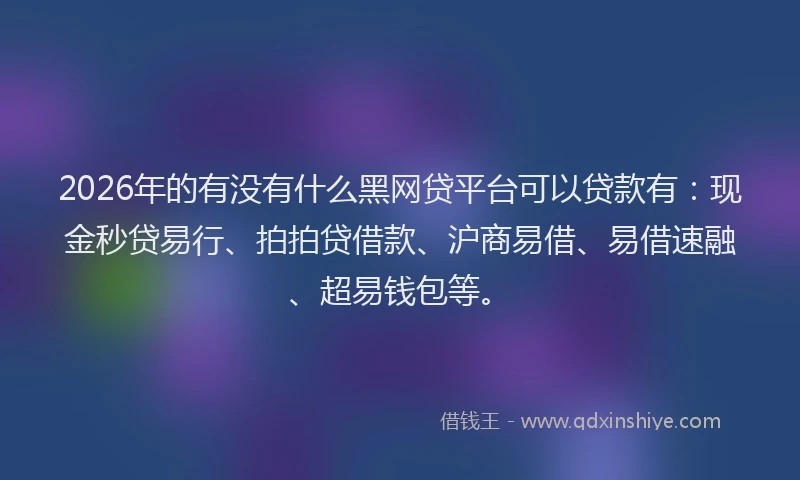 2026年的有没有什么黑网贷平台可以贷款有：现金秒贷易行、拍拍贷借款、沪商易借、易借速融、超易钱包等。