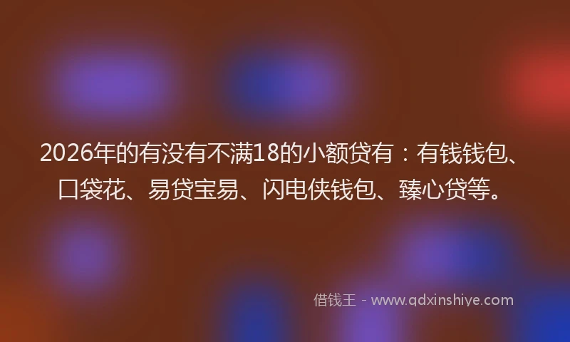 2026年的有没有不满18的小额贷有：有钱钱包、口袋花、易贷宝易、闪电侠钱包、臻心贷等。