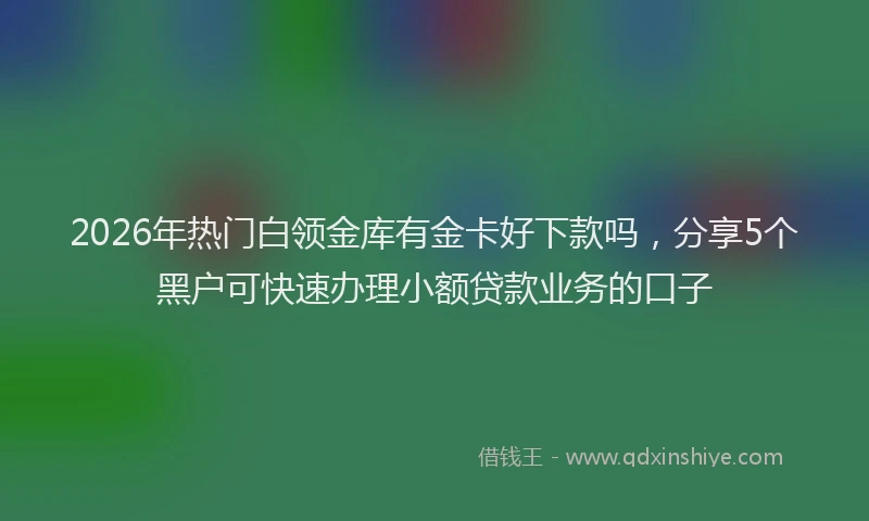 2026年热门白领金库有金卡好下款吗，分享5个黑户可快速办理小额贷款业务的口子