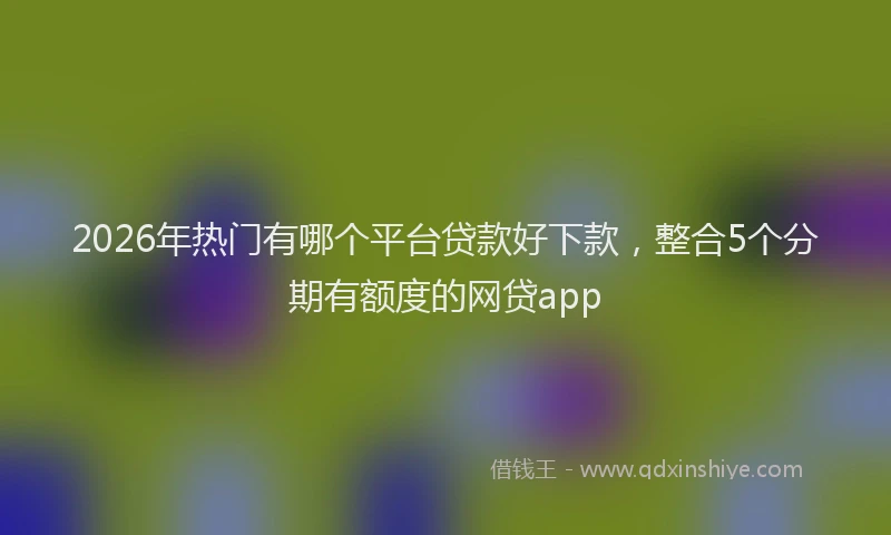 2026年热门有哪个平台贷款好下款，整合5个分期有额度的网贷app