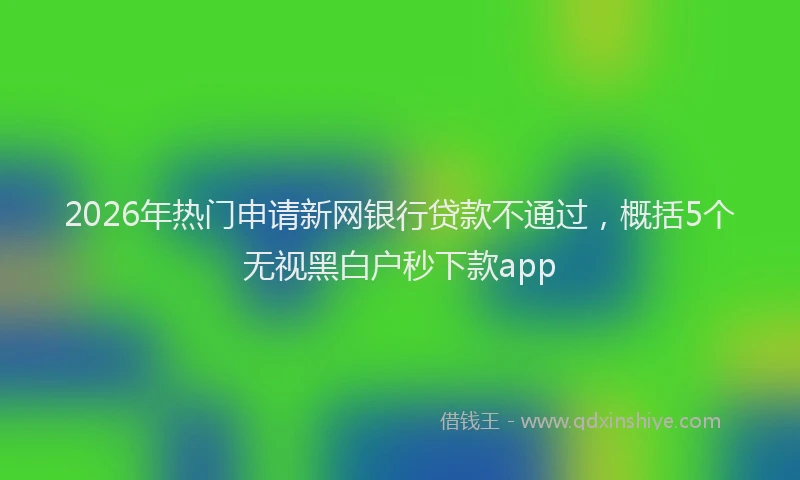 2026年热门申请新网银行贷款不通过,概括5个无视黑白户秒下款app